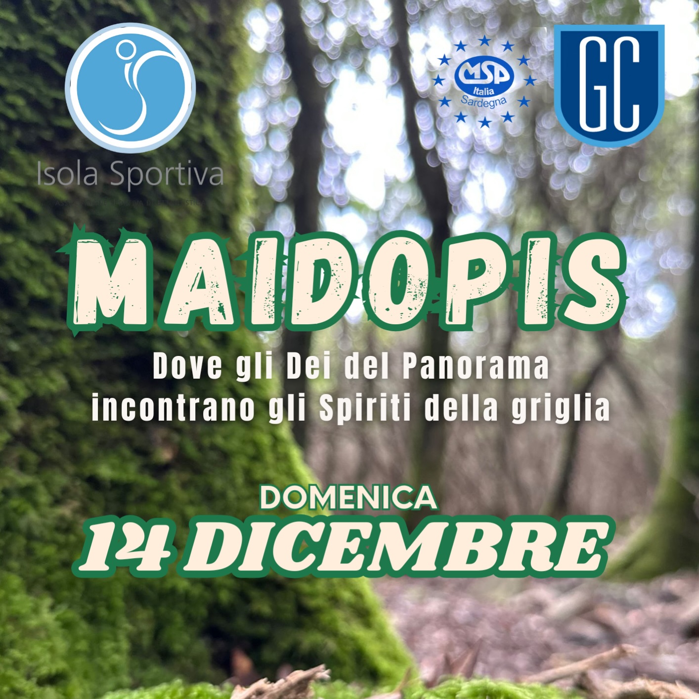 Maidopis: Il Regno di Boschi e Pietre